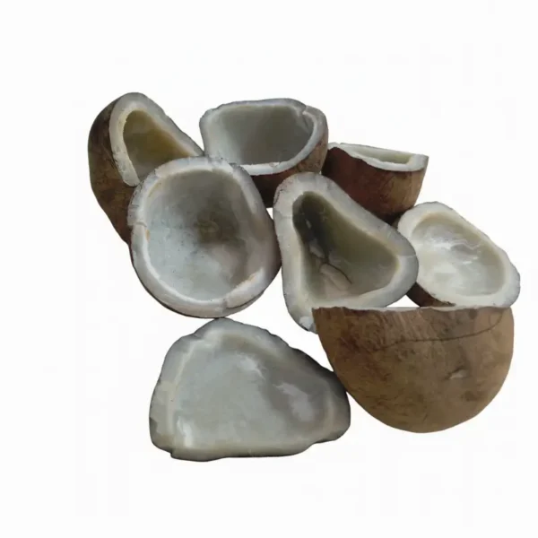 खोबरे 500 ग्रॅम